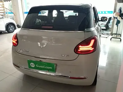 Wuling Bingo