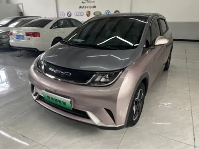 BYD Dolphin