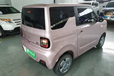 Geely Galaxy Panda