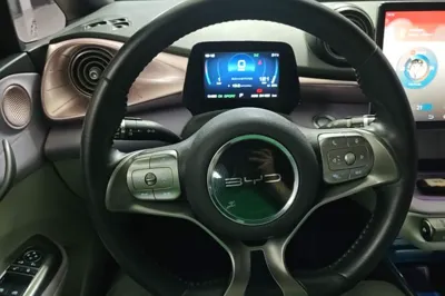 BYD Dolphin