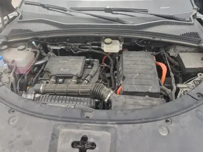 BYD PLUS New Energy