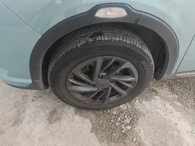 NETA Neta V