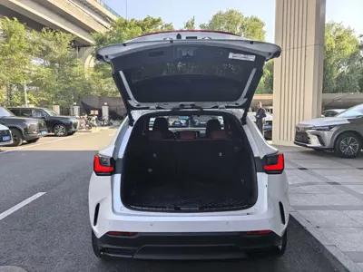 Lexus NX New Energy