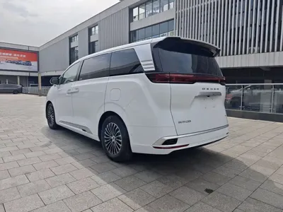 Denza Denza D9