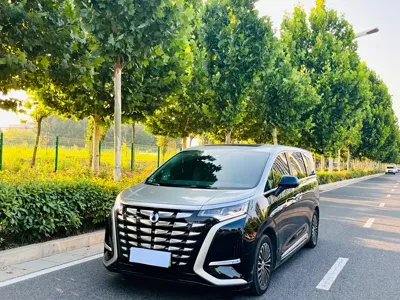 Denza Denza D9