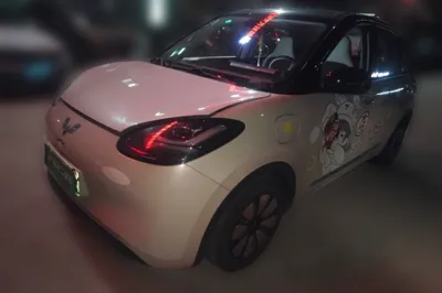 Wuling Bingo