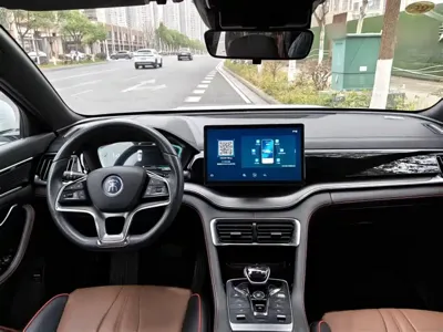 BYD PLUS