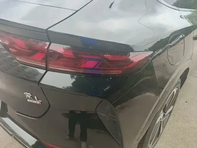 BYD L EV