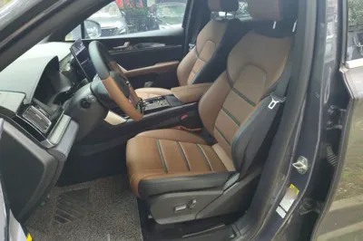 BYD Tang New Energy