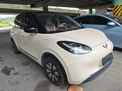 Wuling Bingo
