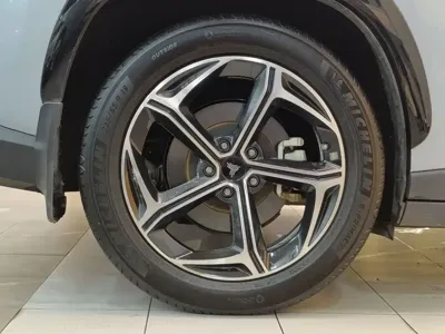 NETA Neta L
