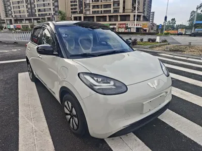 Wuling Bingo