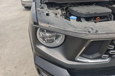 Haval H Dog