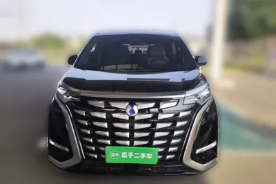 Denza D9