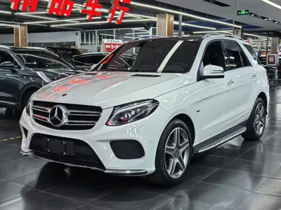 Mercedes-Benz 奔驰GLE(进口)