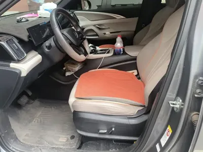 BYD Pro New Energy