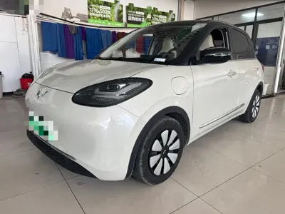 Wuling Bingo