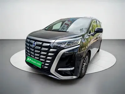 Denza Denza D9