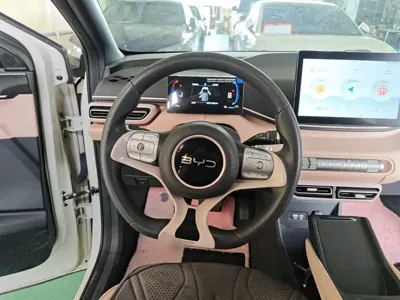 BYD Seagull