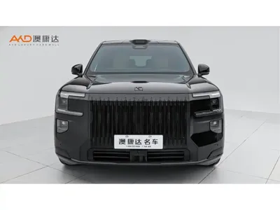 Zeekr 极氪9X