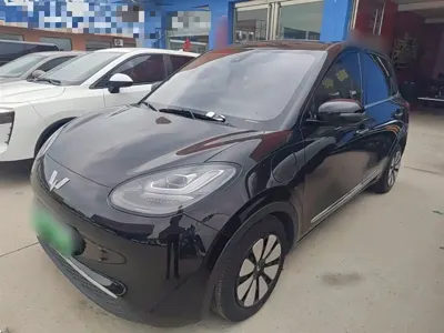 Wuling Bingo