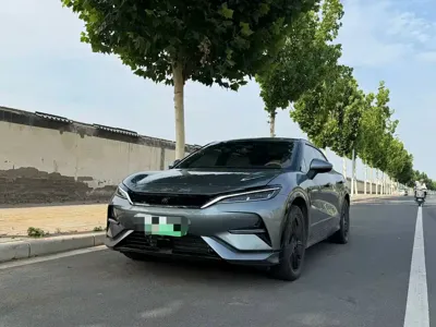 BYD L EV