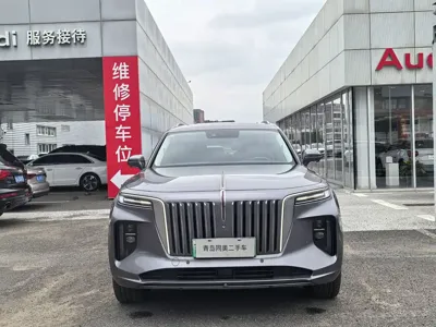 Hongqi Hongqi E-HS9