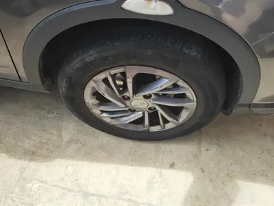 NETA Neta V
