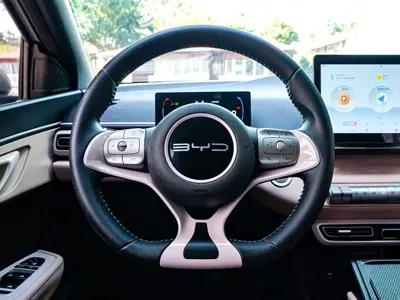 BYD Seagull