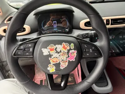 Leapmotor Leapmotor T03