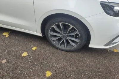 Geely Auto Binray