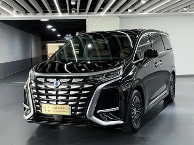 Denza Denza D9