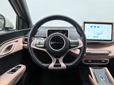 BYD Seagull