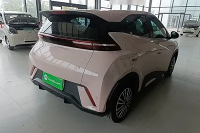 BYD Seagull