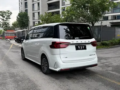 大通 G20
