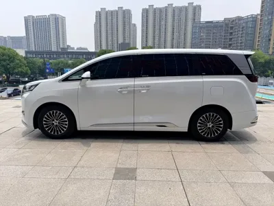 Denza Denza D9