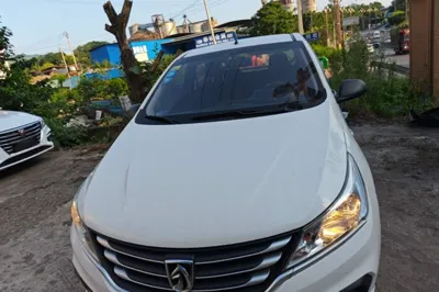 Baojun 310