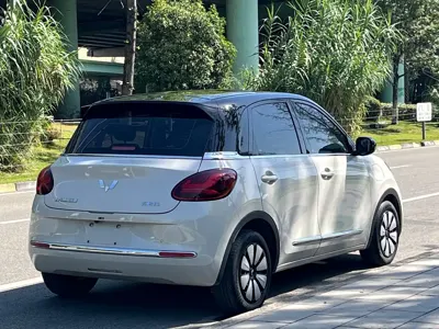 Wuling Bingo