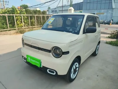 Galaxy Panda