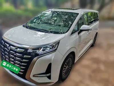 Denza Denza D9