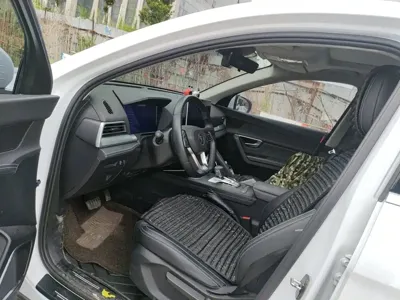 BYD Pro