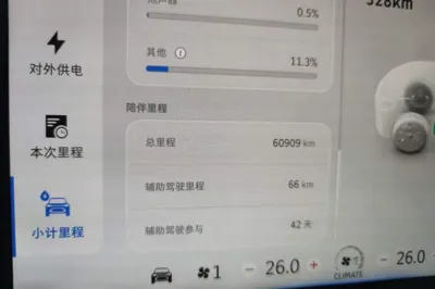 Smart #1