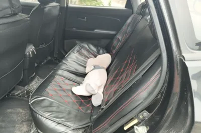 Hyundai Celesta