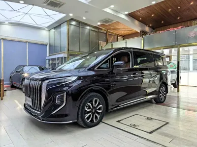 Hongqi Hongqi HQ9