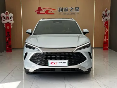 BYD L DM-i