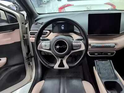 BYD Seagull