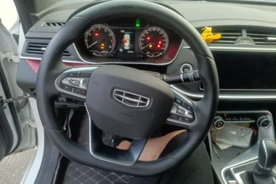 Geely Auto Binray
