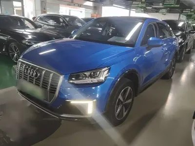 Audi Q2L e-tron