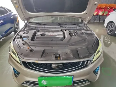 Geely Binrui