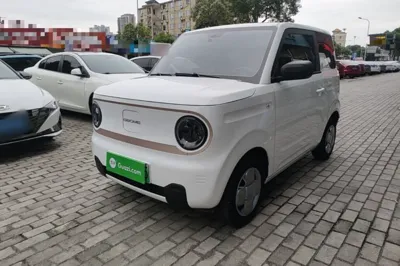 Geely Galaxy Panda